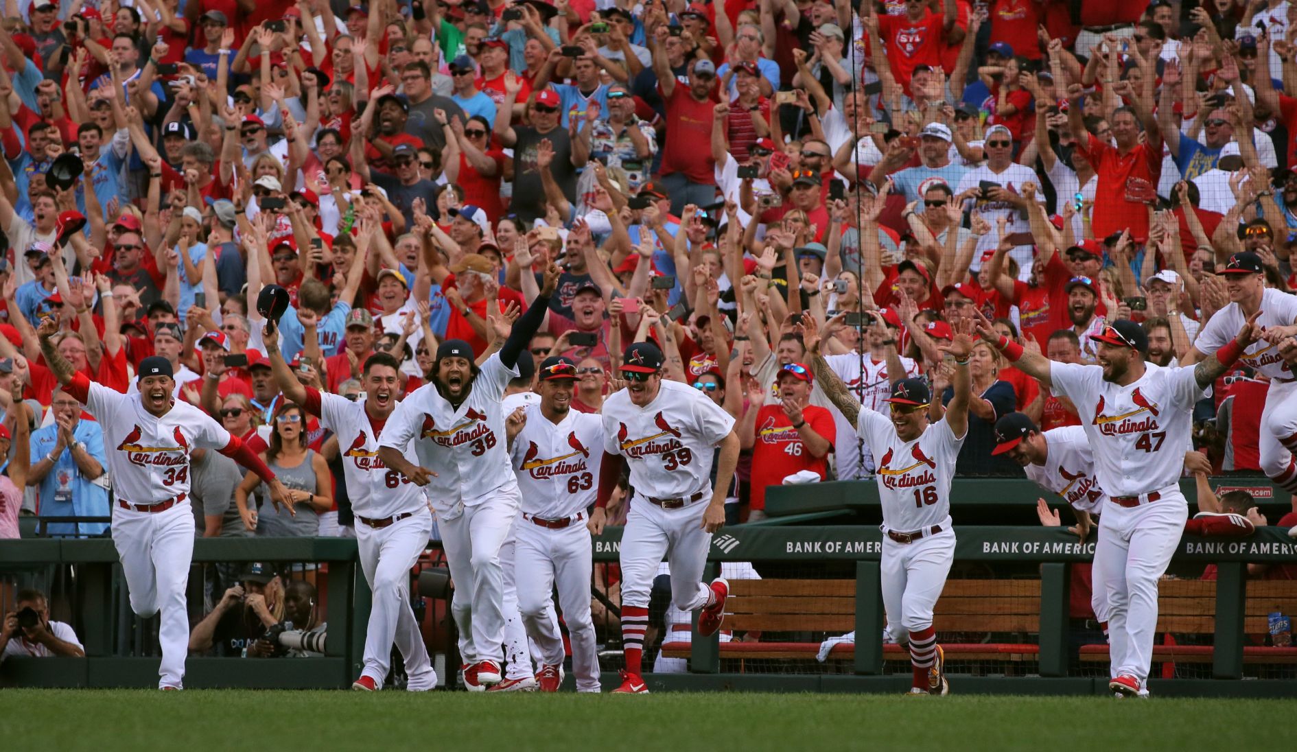 Chicago Cubs vs St. Louis Cardinals
